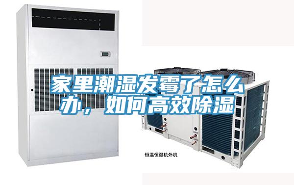 家里潮濕發霉了怎么辦，如何高效除濕