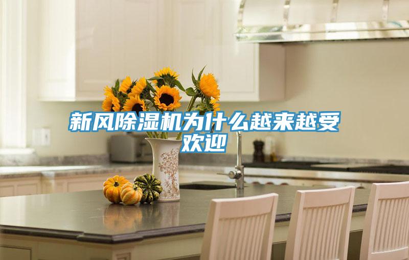 新風除濕機為什么越來越受歡迎