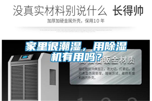 家里很潮濕，用除濕機有用嗎？