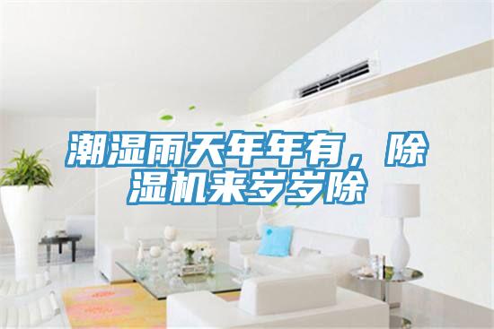 潮濕雨天年年有，除濕機(jī)來(lái)歲歲除