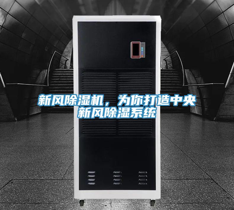 新風除濕機,為你打造中央新風除濕系統