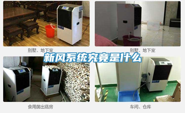 新風系統究竟是什么