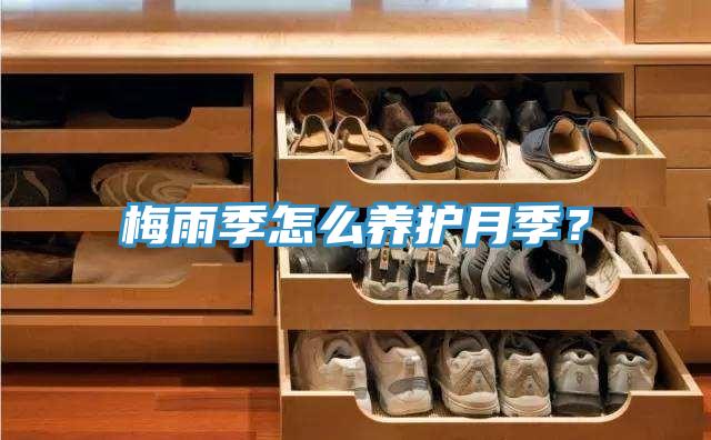 梅雨季怎么養(yǎng)護(hù)月季？