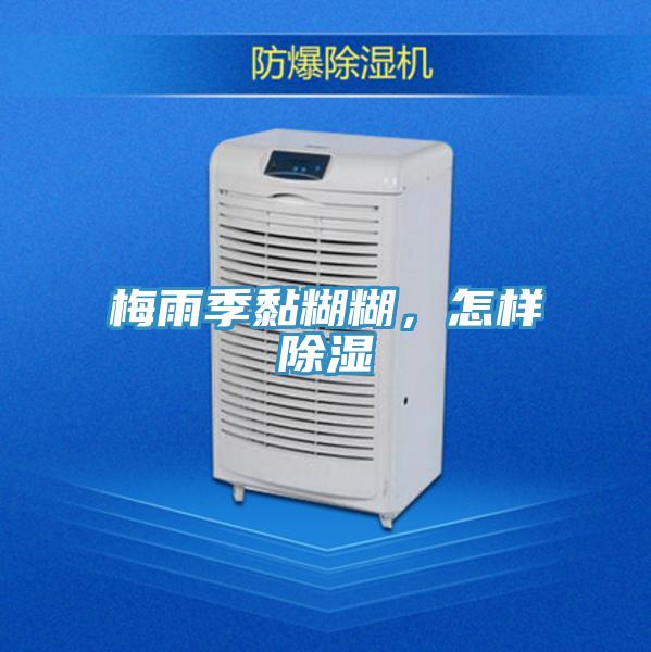 梅雨季黏糊糊,怎樣除濕
