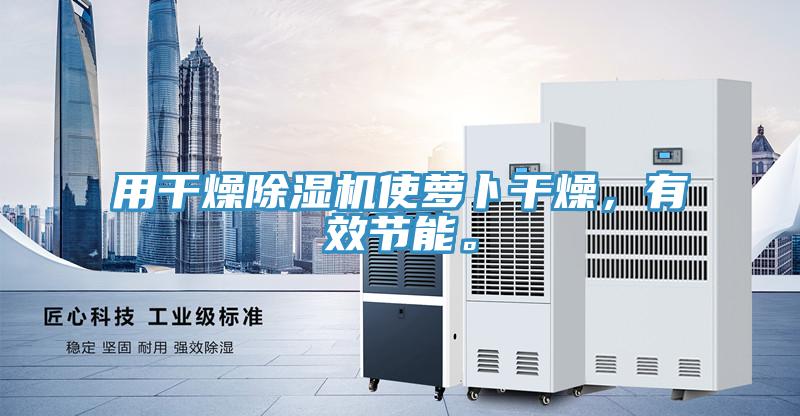 用干燥除濕機使蘿卜干燥，有效節(jié)能。