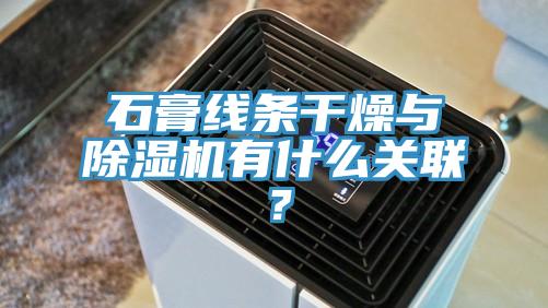 石膏線條干燥與除濕機(jī)有什么關(guān)聯(lián)？