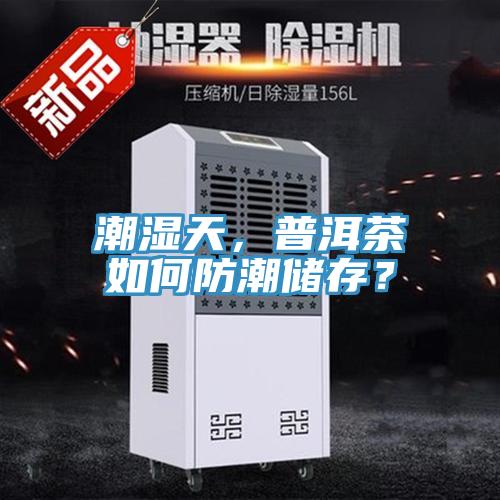 潮濕天,普洱茶如何防潮儲存?
