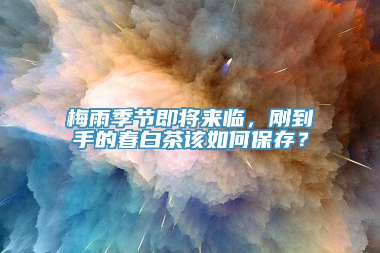 梅雨季節即將來臨，剛到手的春白茶該如何保存？