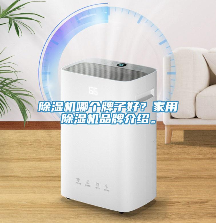 除濕機哪個牌子好？家用除濕機品牌介紹。