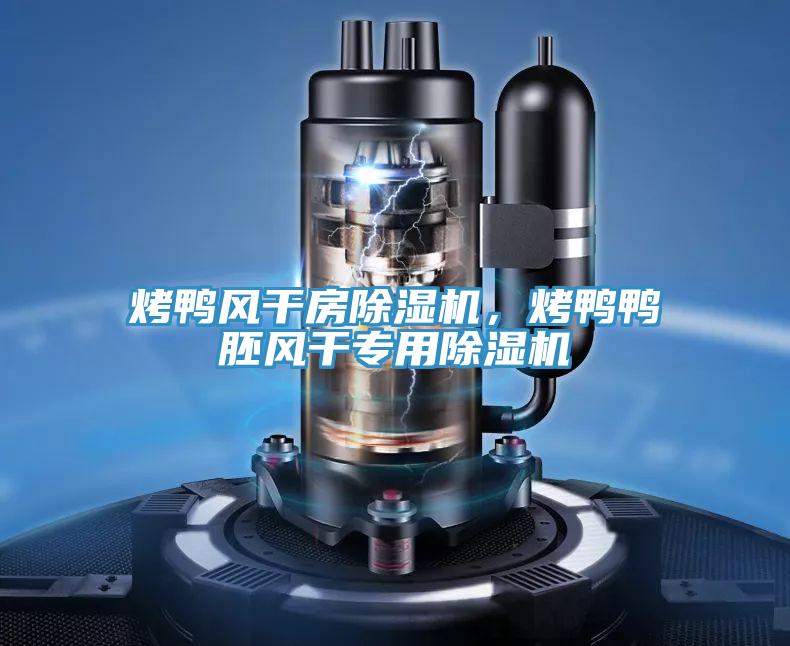 烤鴨風(fēng)干房除濕機(jī),烤鴨鴨胚風(fēng)干專用除濕機(jī)