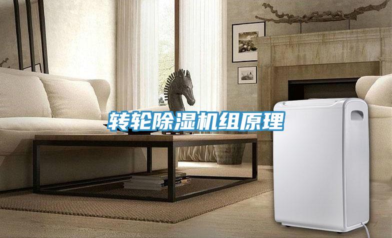 轉(zhuǎn)輪除濕機組原理