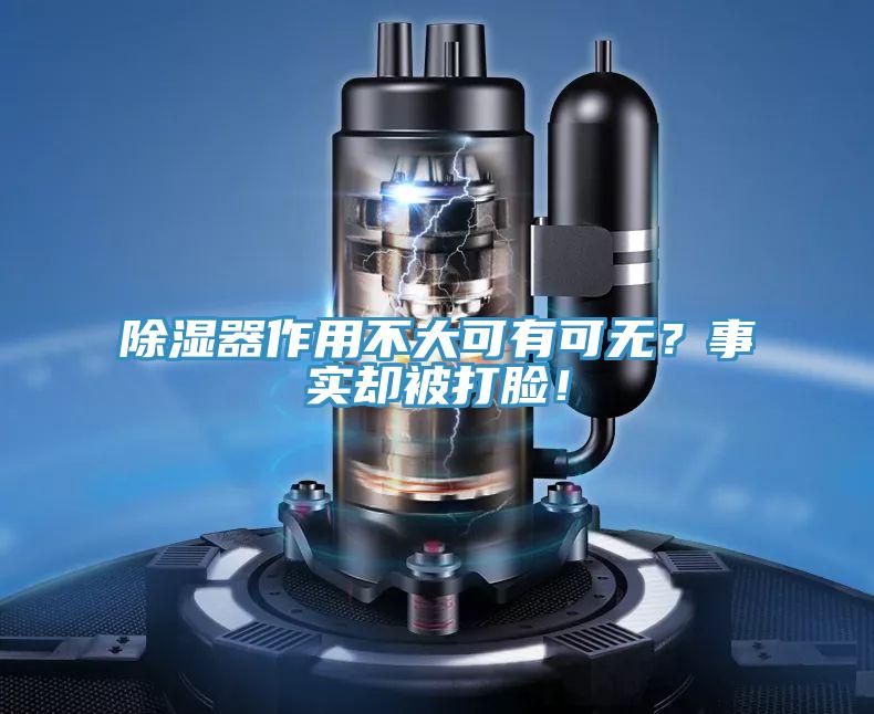除濕器作用不大可有可無？事實卻被打臉！