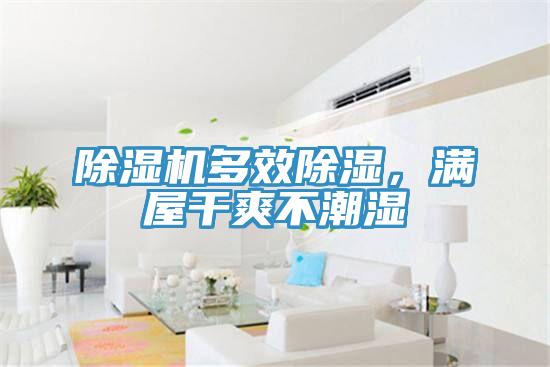 除濕機多效除濕，滿屋干爽不潮濕