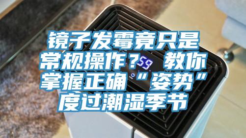 鏡子發(fā)霉竟只是常規(guī)操作？ 教你掌握正確“姿勢”度過潮濕季節(jié)