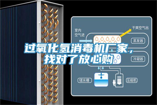 過氧化氫消毒機廠家，找對了放心購