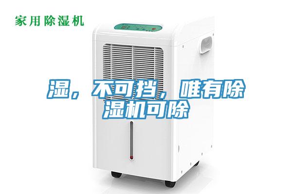 濕，不可擋，唯有除濕機可除