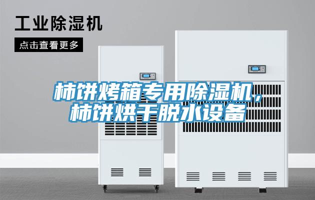 柿餅烤箱專用除濕機，柿餅烘干脫水設備