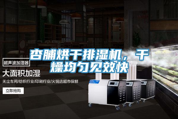 杏脯烘干排濕機，干燥均勻見效快