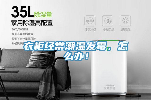 衣柜經常潮濕發霉，怎么辦！