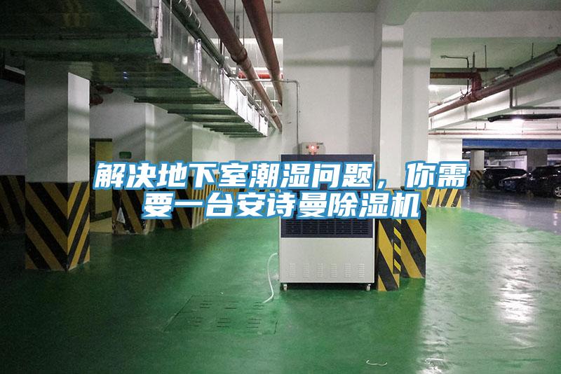 解決地下室潮濕問題,你需要一臺安詩曼除濕機