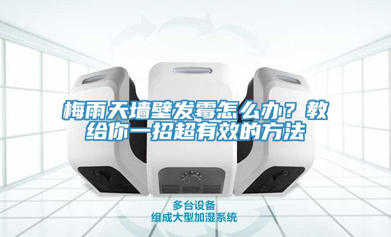 梅雨天墻壁發霉怎么辦？教給你一招超有效的方法