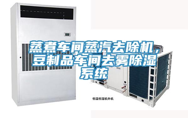 蒸煮車間蒸汽去除機(jī)，豆制品車間去霧除濕系統(tǒng)