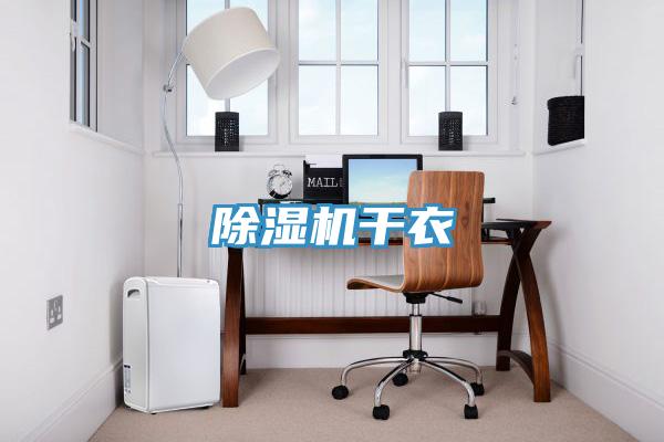 除濕機干衣