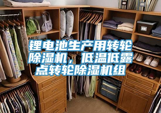 鋰電池生產用轉輪除濕機，低溫低露點轉輪除濕機組