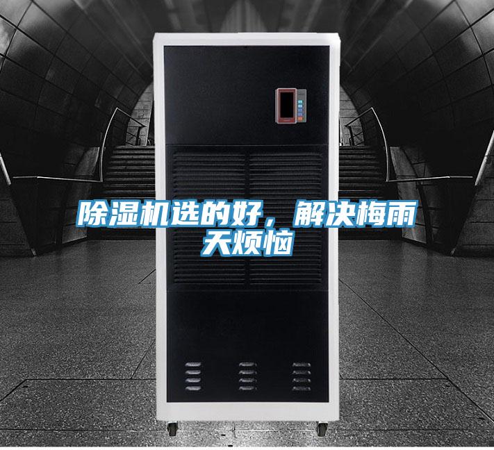 除濕機選的好，解決梅雨天煩惱