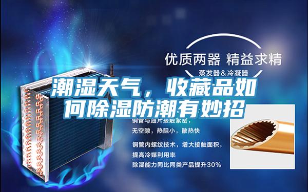 潮濕天氣,收藏品如何除濕防潮有妙招