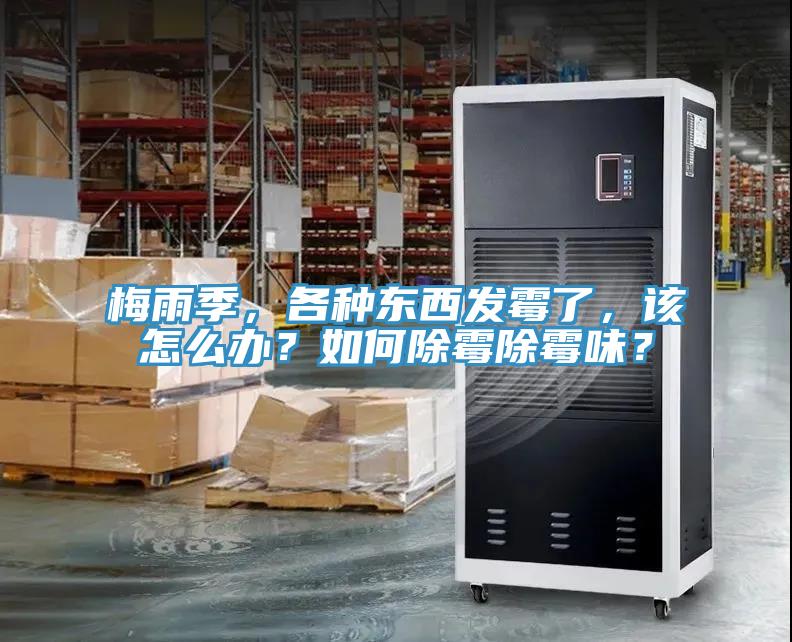 梅雨季,各種東西發霉了,該怎么辦?如何除霉除霉味?