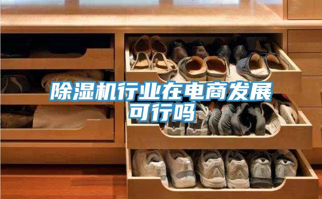 除濕機行業在電商發展可行嗎