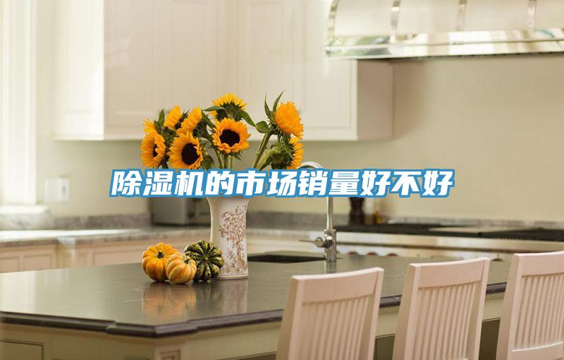 除濕機的市場銷量好不好