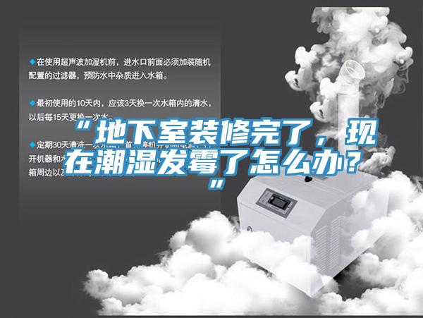 “地下室裝修完了，現在潮濕發霉了怎么辦？”