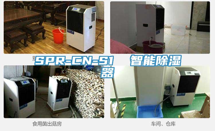 SPR-CN-S1  智能除濕器