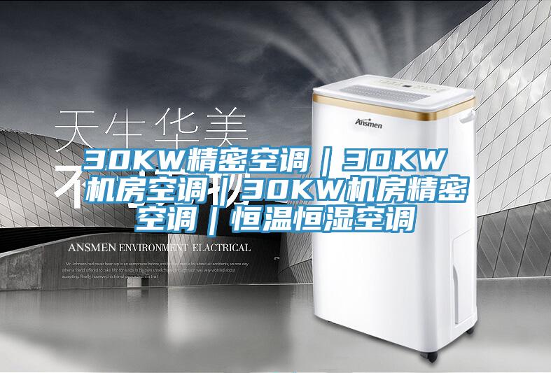 30KW精密空調｜30KW 機房空調｜30KW機房精密空調｜恒溫恒濕空調