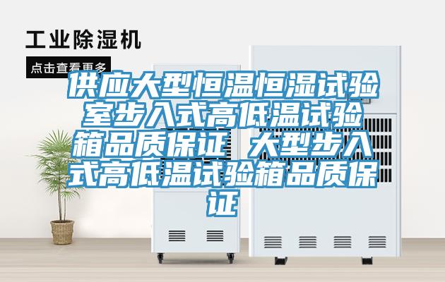 供應大型恒溫恒濕試驗室步入式高低溫試驗箱品質保證 大型步入式高低溫試驗箱品質保證