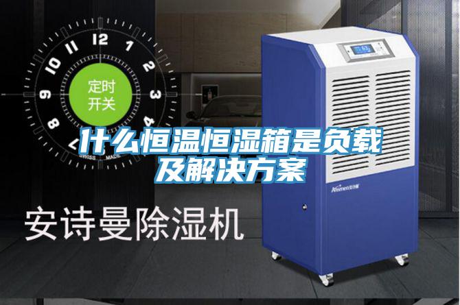 什么恒溫恒濕箱是負(fù)載及解決方案