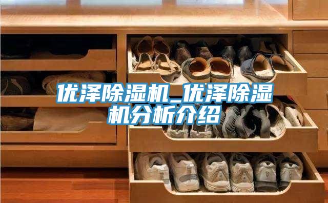 優澤除濕機_優澤除濕機分析介紹