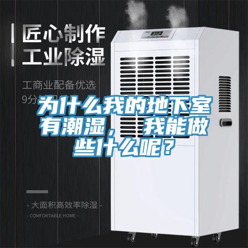 為什么我的地下室有潮濕， 我能做些什么呢？