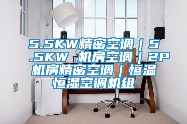 5.5KW精密空調｜5.5KW 機房空調｜2P機房精密空調｜恒溫恒濕空調機組