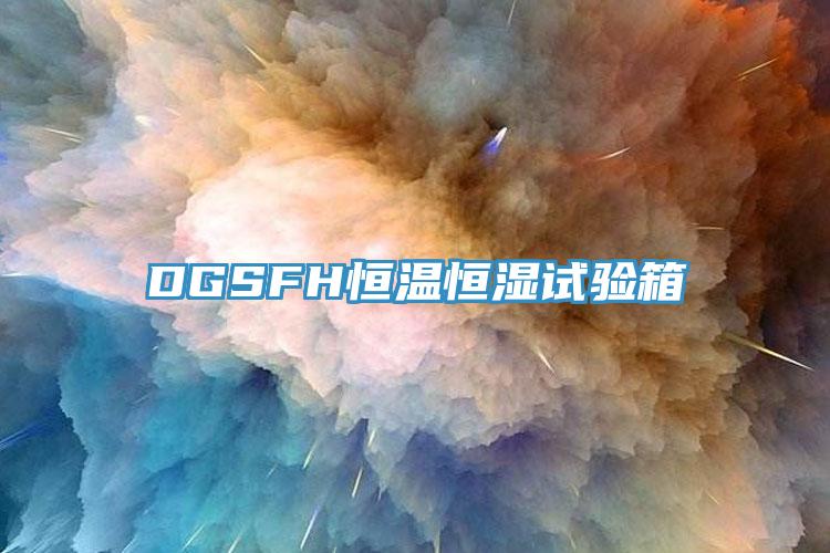 DGSFH恒溫恒濕試驗箱