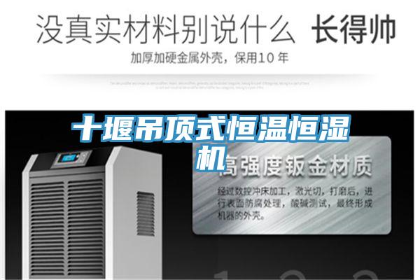 十堰吊頂式恒溫恒濕機