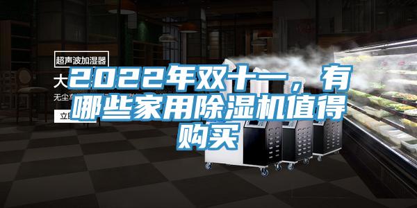 2022年雙十一，有哪些家用除濕機值得購買