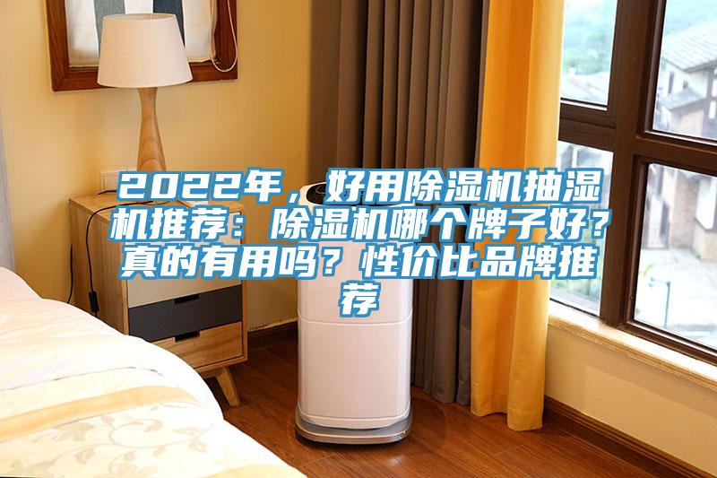 2022年，好用除濕機(jī)抽濕機(jī)推薦：除濕機(jī)哪個(gè)牌子好？真的有用嗎？性價(jià)比品牌推薦