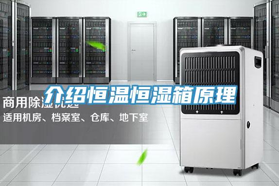 介紹恒溫恒濕箱原理