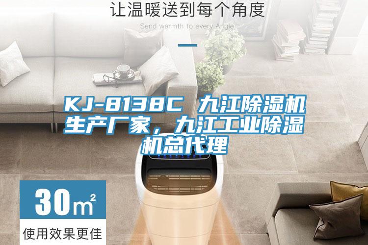 KJ-8138C 九江除濕機生產廠家，九江工業除濕機總代理
