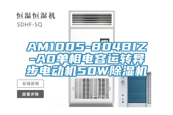 AM1005-804BIZ-A0單相電容運轉異步電動機50W除濕機