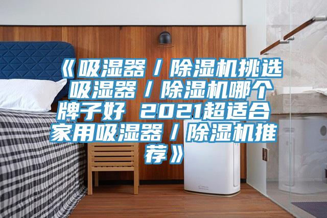 《吸濕器/除濕機挑選 吸濕器/除濕機哪個牌子好 2021超適合家用吸濕器/除濕機推薦》