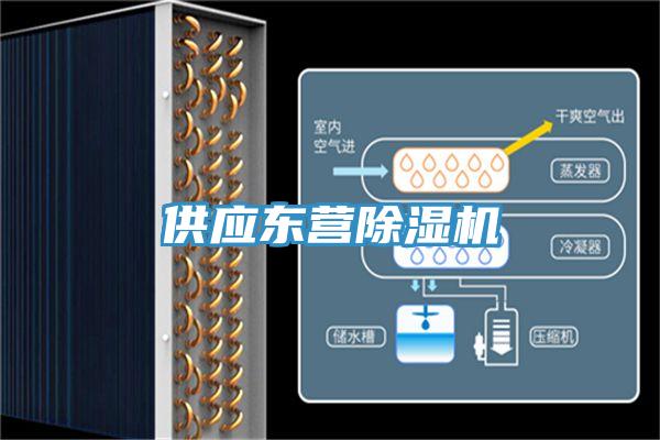 供應(yīng)東營除濕機